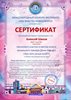 Участвуем в Международном конкурсе-фестивале "Мы вместе!" г.Новосибирск 11.11.2020